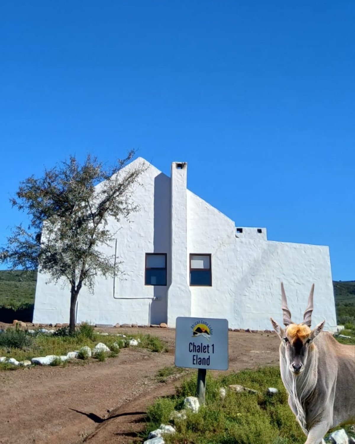 Karoo chalet exterior