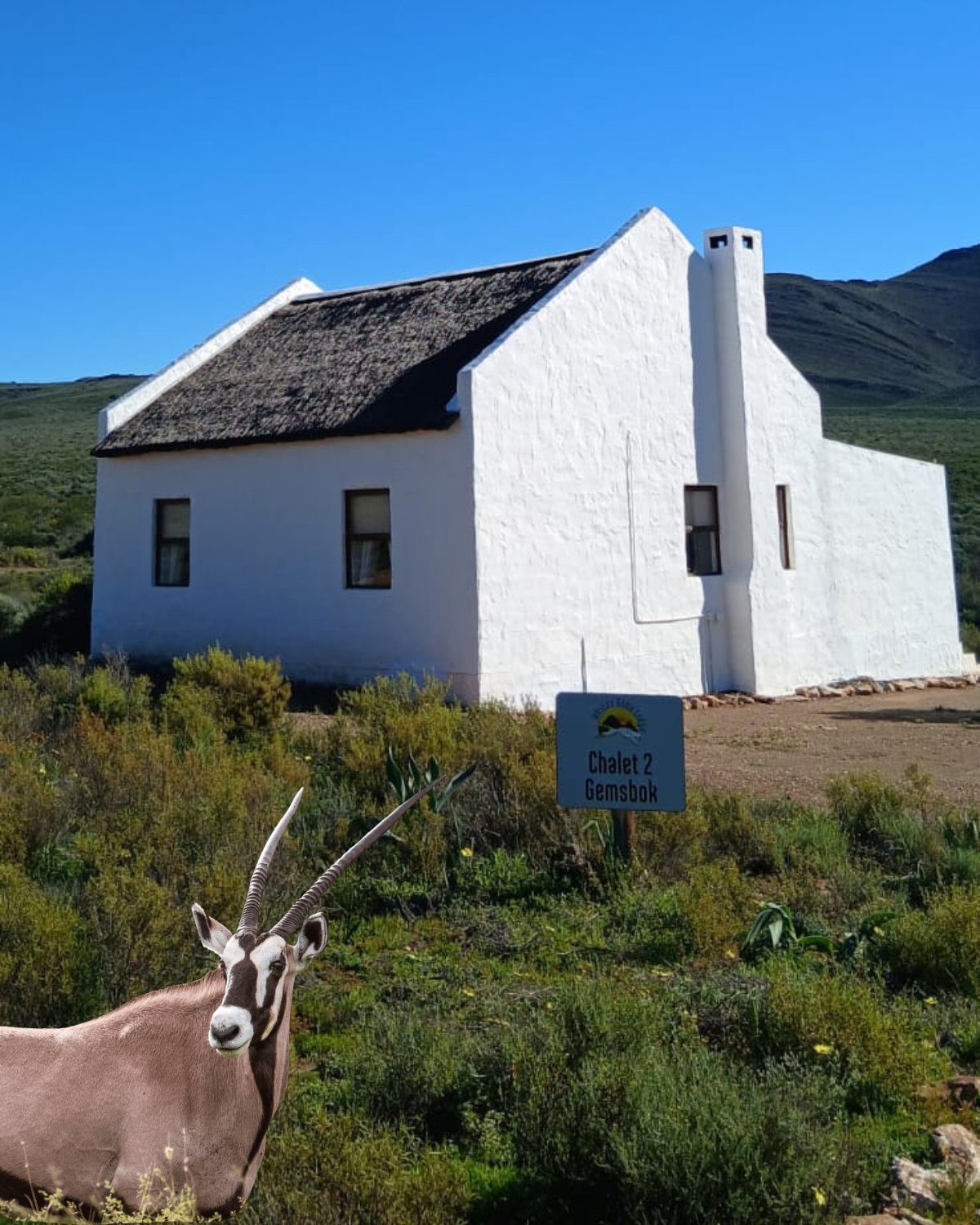 Spacious chalets