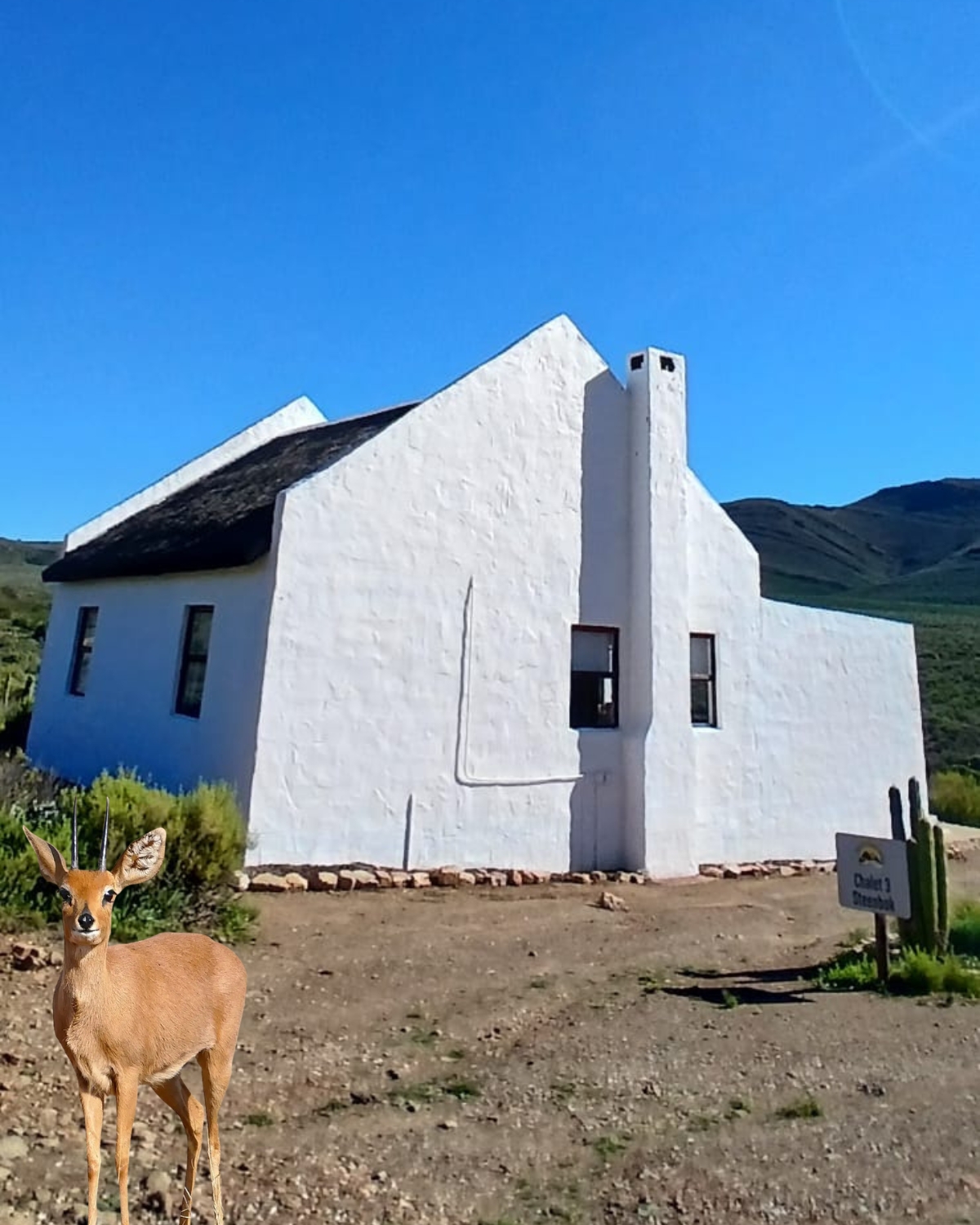 Steenbok Chalet exterior