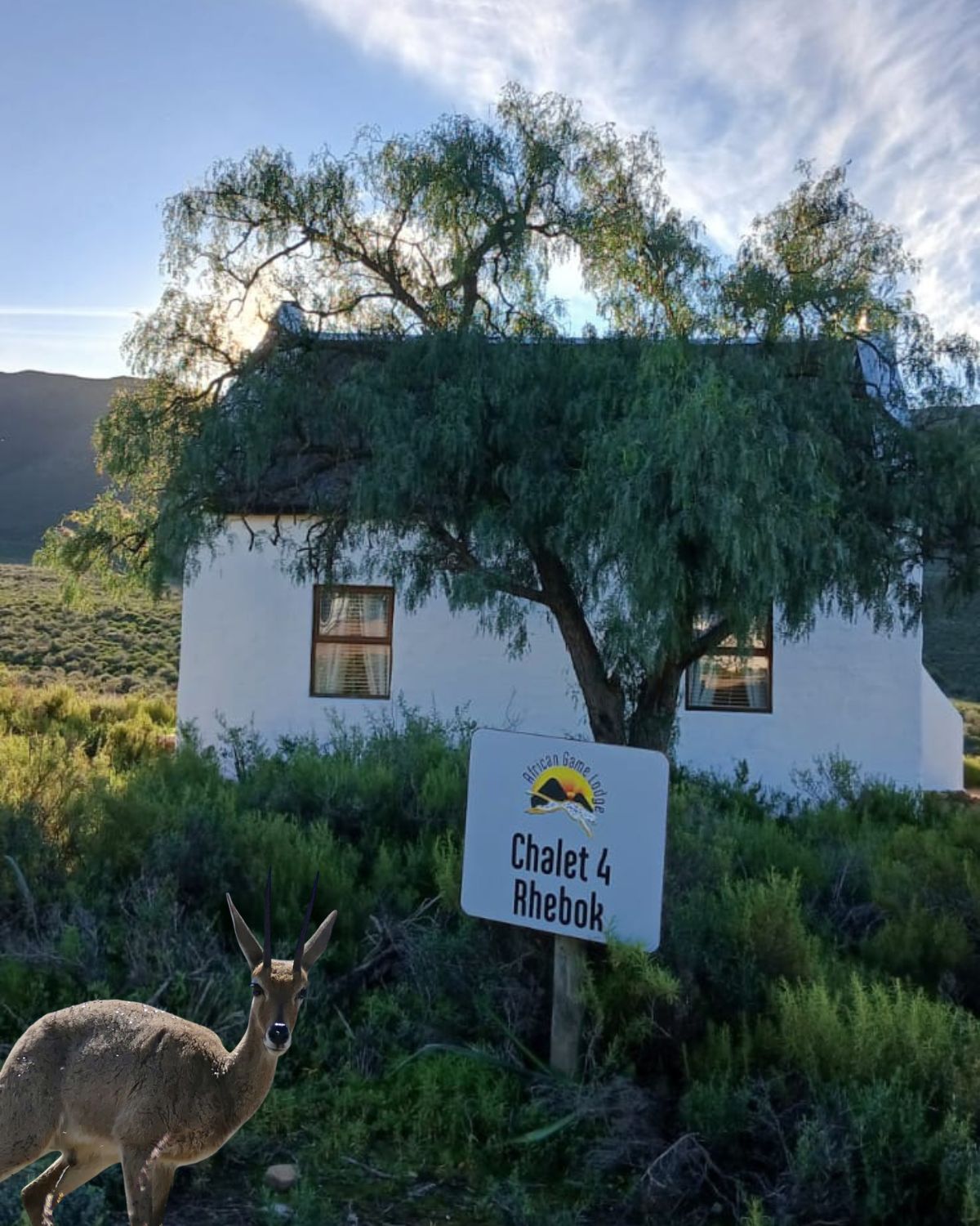 Rhebok Chalet exterior