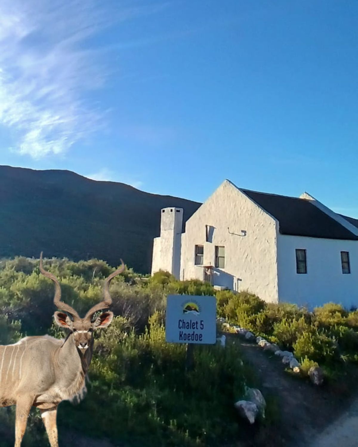 Koedoe Chalet exterior