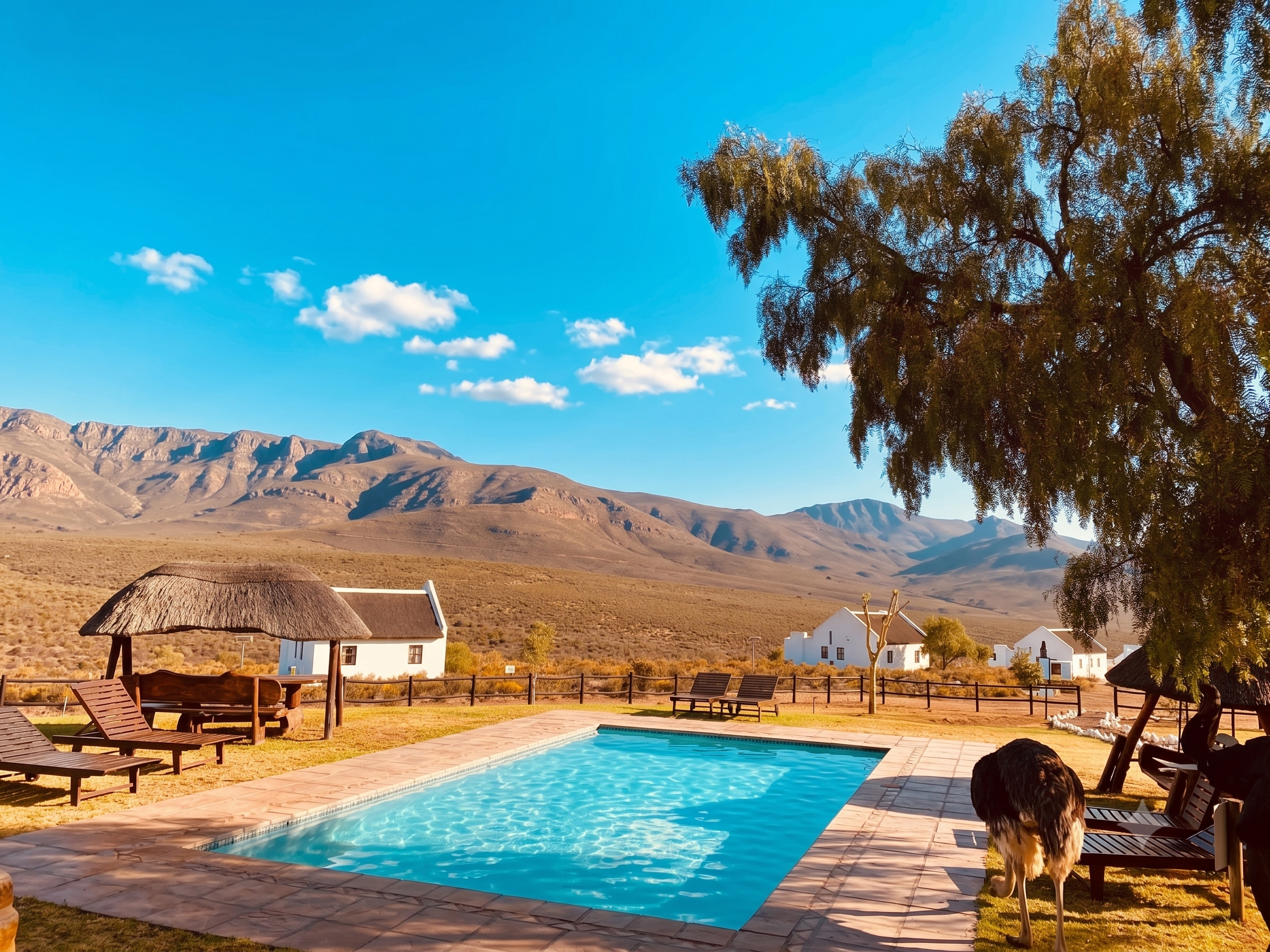 Pool and relaxation at African Game Lodge