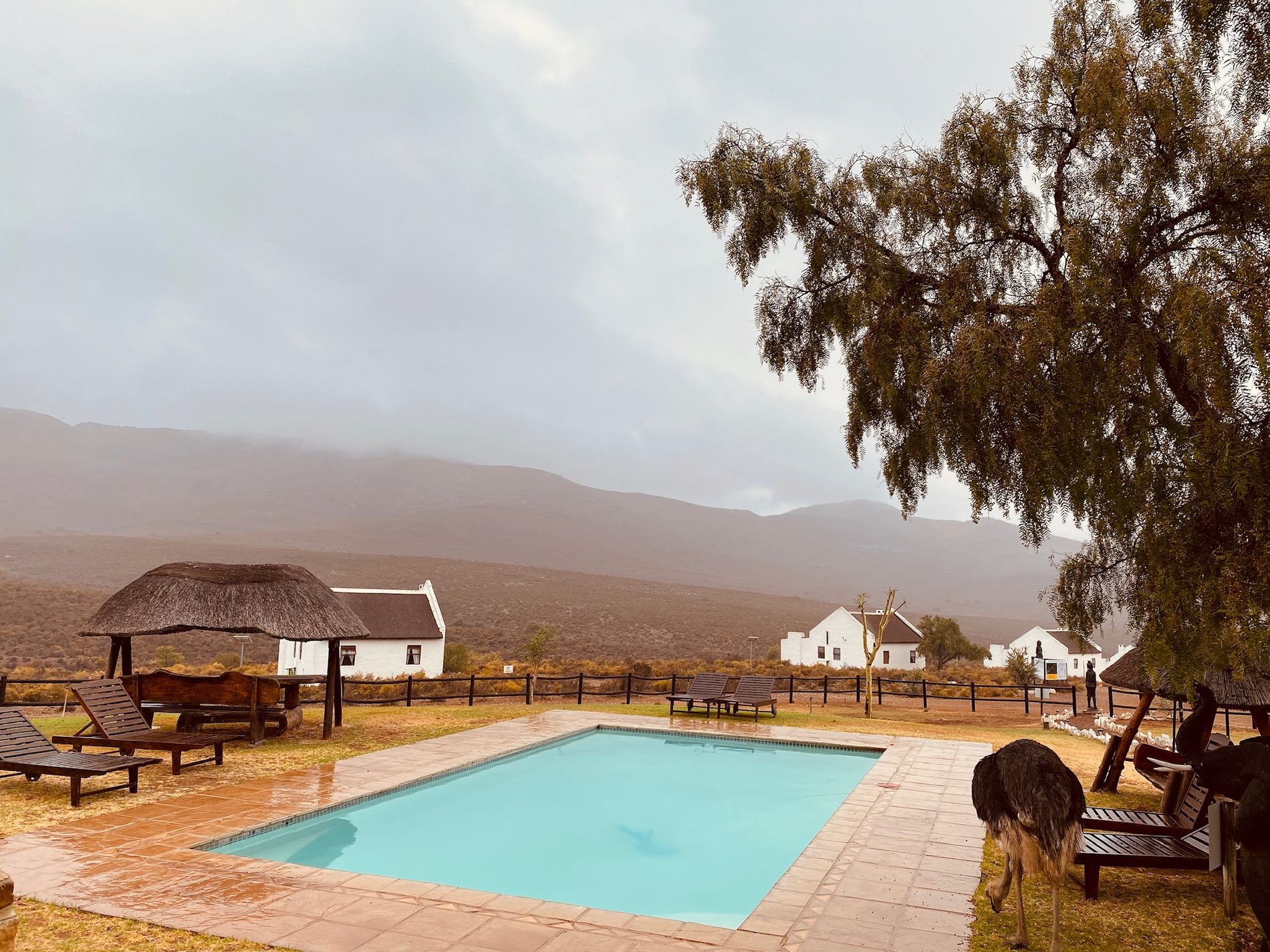 Karoo-Style Chalets